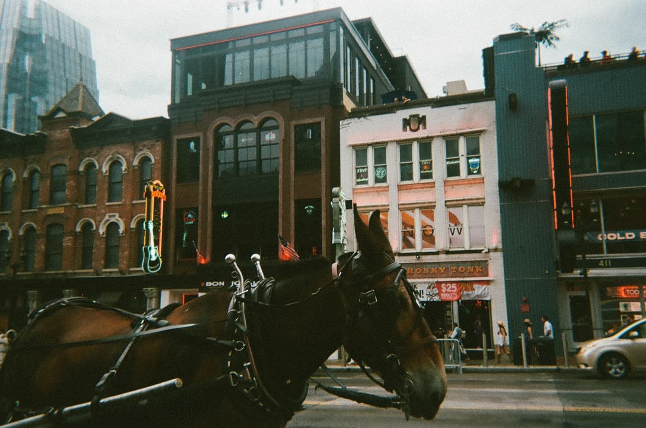 Boxrooster on Tour, image 3