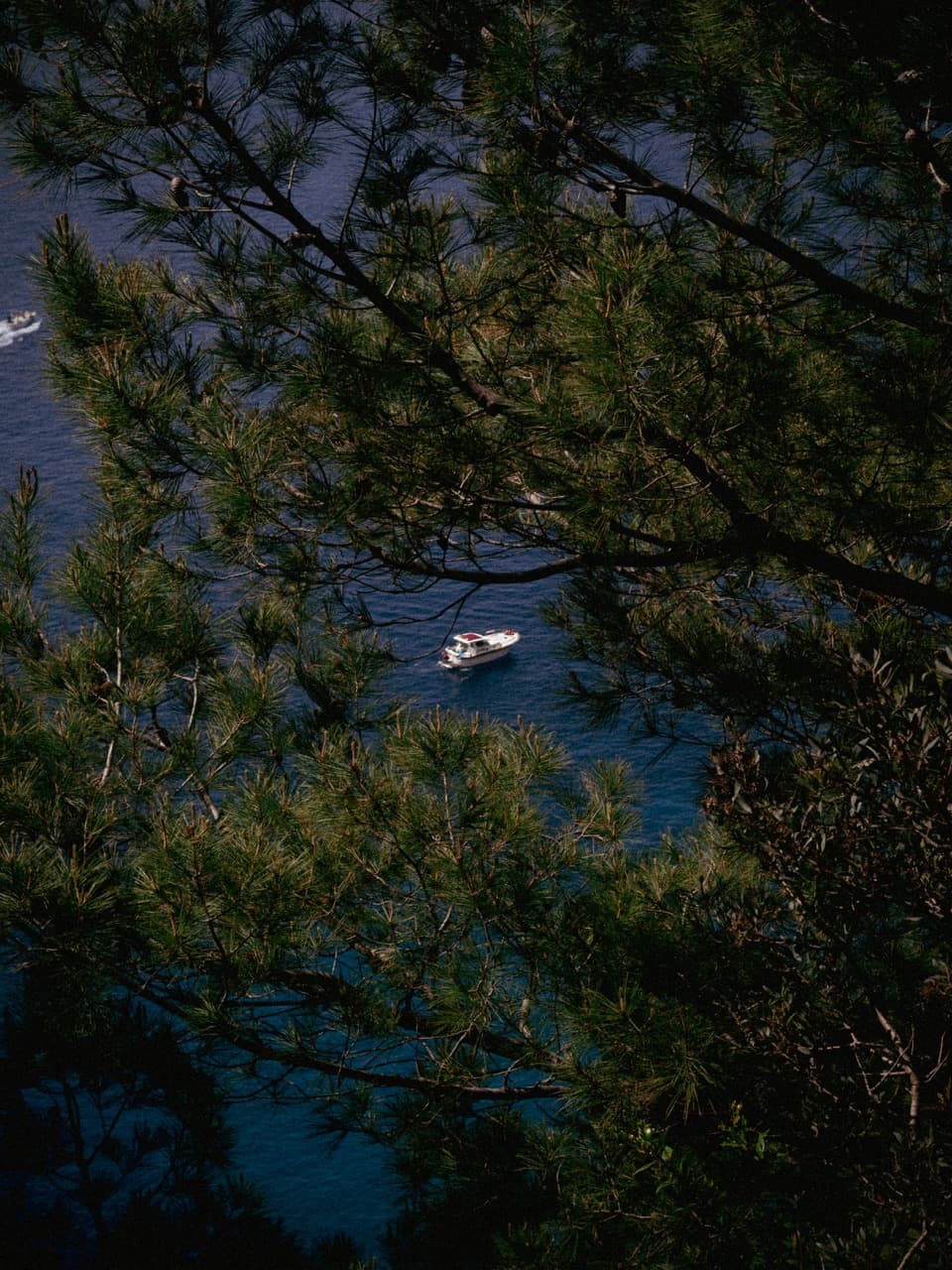 Capri, image 1