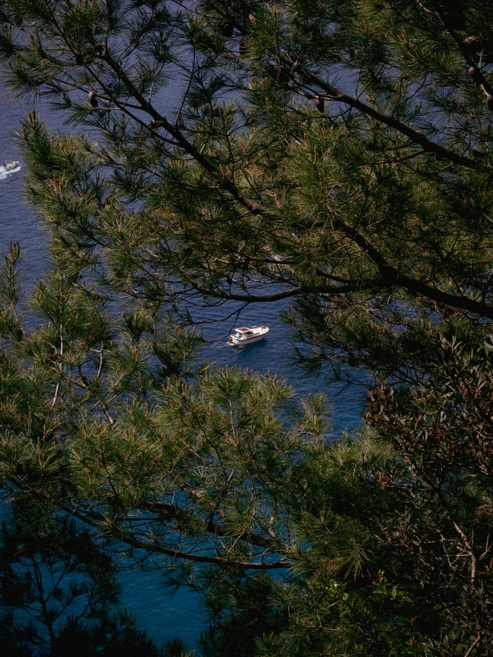 Capri — 7