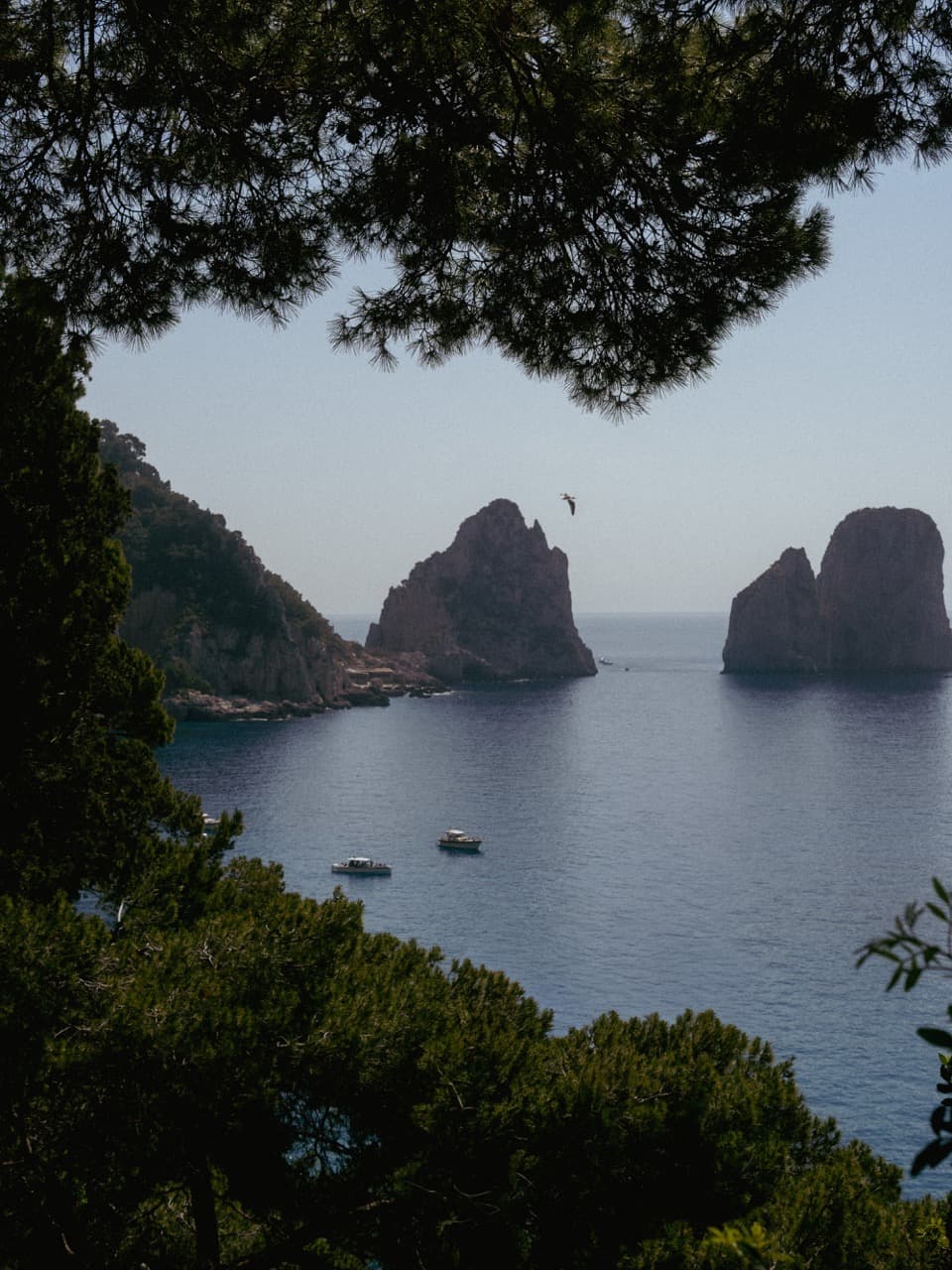 Capri — 11