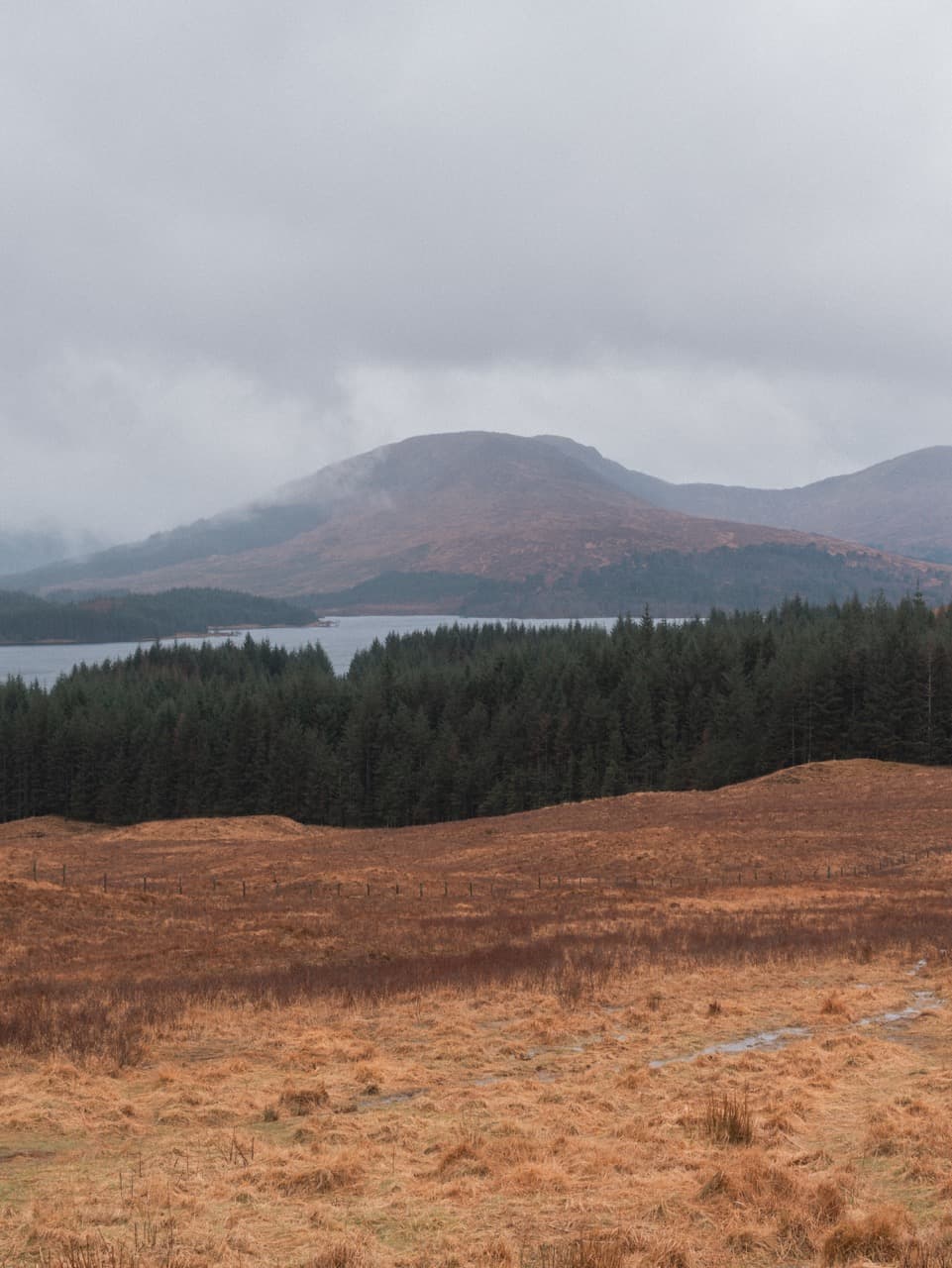 Scottish Highlands — 1