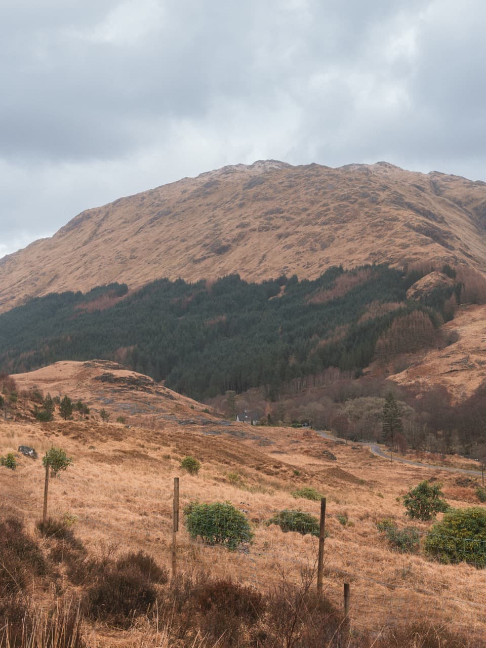 Scottish Highlands — 13